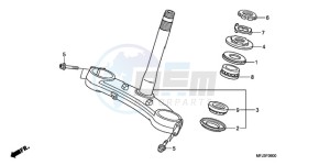 CBR600RRA E drawing STEERING STEM