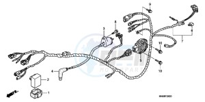 TRX250XB drawing WIRE HARNESS