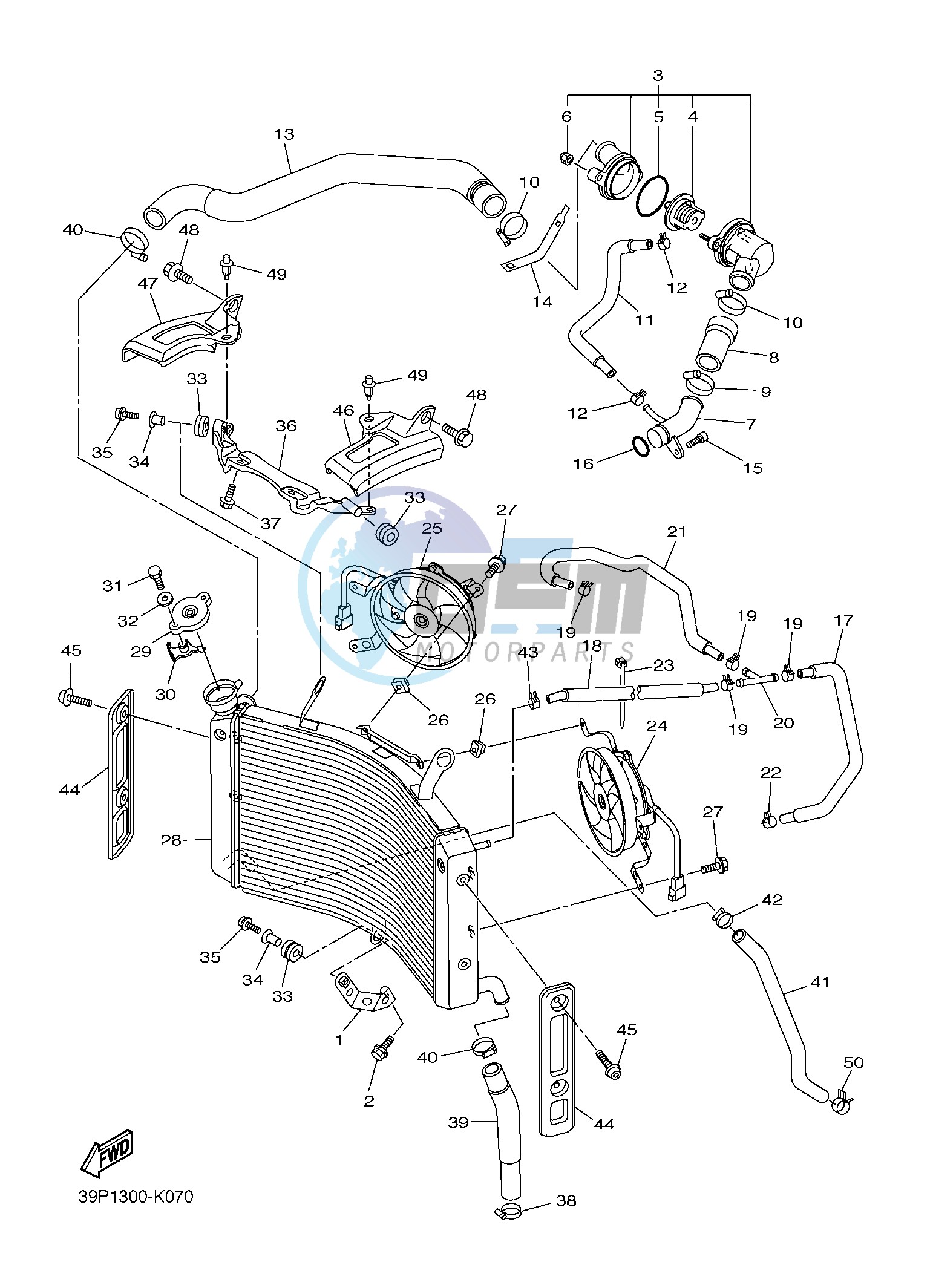 RADIATOR & HOSE