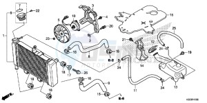 CBR300RAF CBR300RA Europe Direct - (ED) drawing RADIATOR