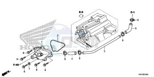 TRX500FM1F TRX500FM Europe Direct - (ED) drawing WATER PUMP COVER