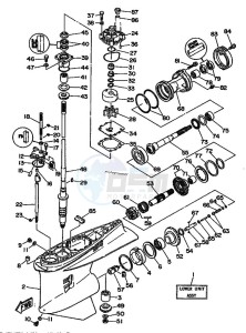 L250AETO drawing LOWER-CASING-x-DRIVE-1