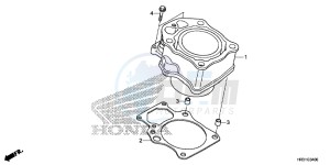 TRX420TE1H Europe Direct - (ED) drawing CYLINDER