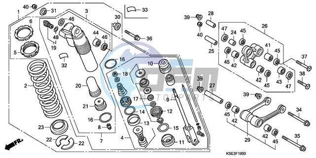 REAR CUSHION