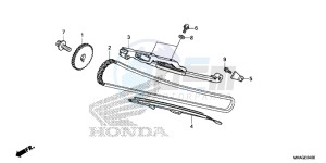 NC750SDG NC750X Europe Direct - (ED) drawing CAM CHAIN/ TENSIONER