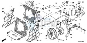 TRX420FPEC drawing RADIATOR