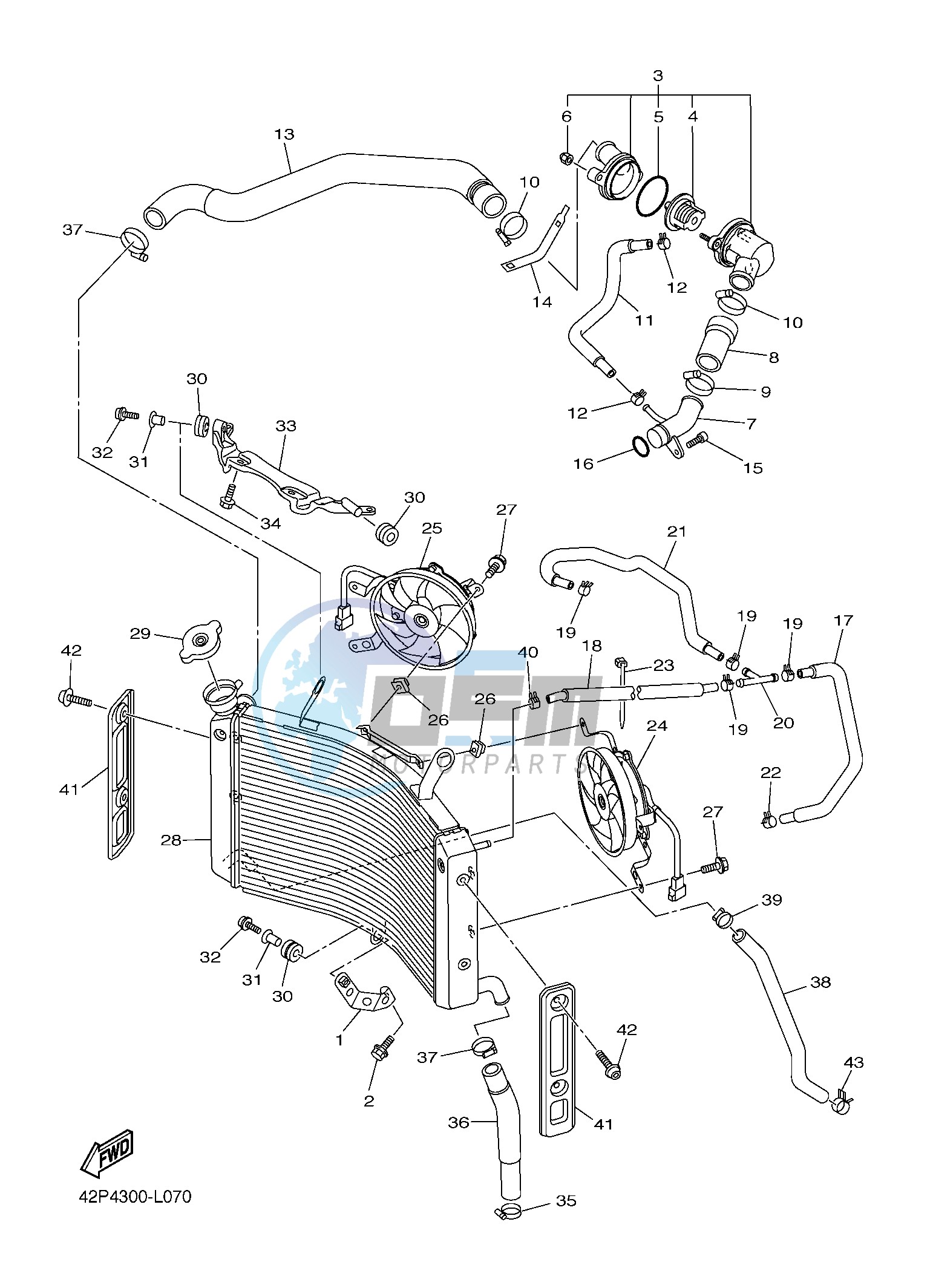 RADIATOR & HOSE