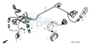 CRF250XC drawing WIRE HARNESS