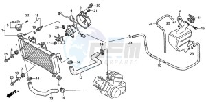 XL125V VARADERO drawing RADIATOR (XL125V1/2/3/4/5/6)