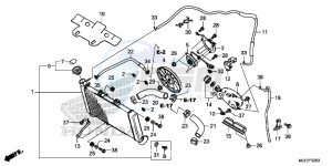 CB650FAH 2ED - (2ED) drawing RADIATOR