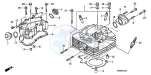 TRX250TEA Australia - (U / EC) drawing CYLINDER HEAD