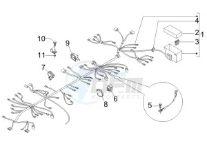 Stalker 50 Naked drawing Main cable harness