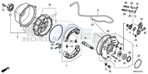 TRX500FE2H Europe Direct - (ED) drawing REAR BRAKE PANEL