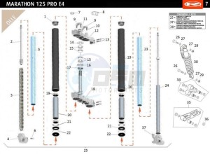 MARATHON-125-E4-PRO-SM-WHITE drawing FRONT FORK