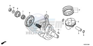 CRF250LE CRF250L Korea - (KO) drawing CRANKSHAFT/PISTON