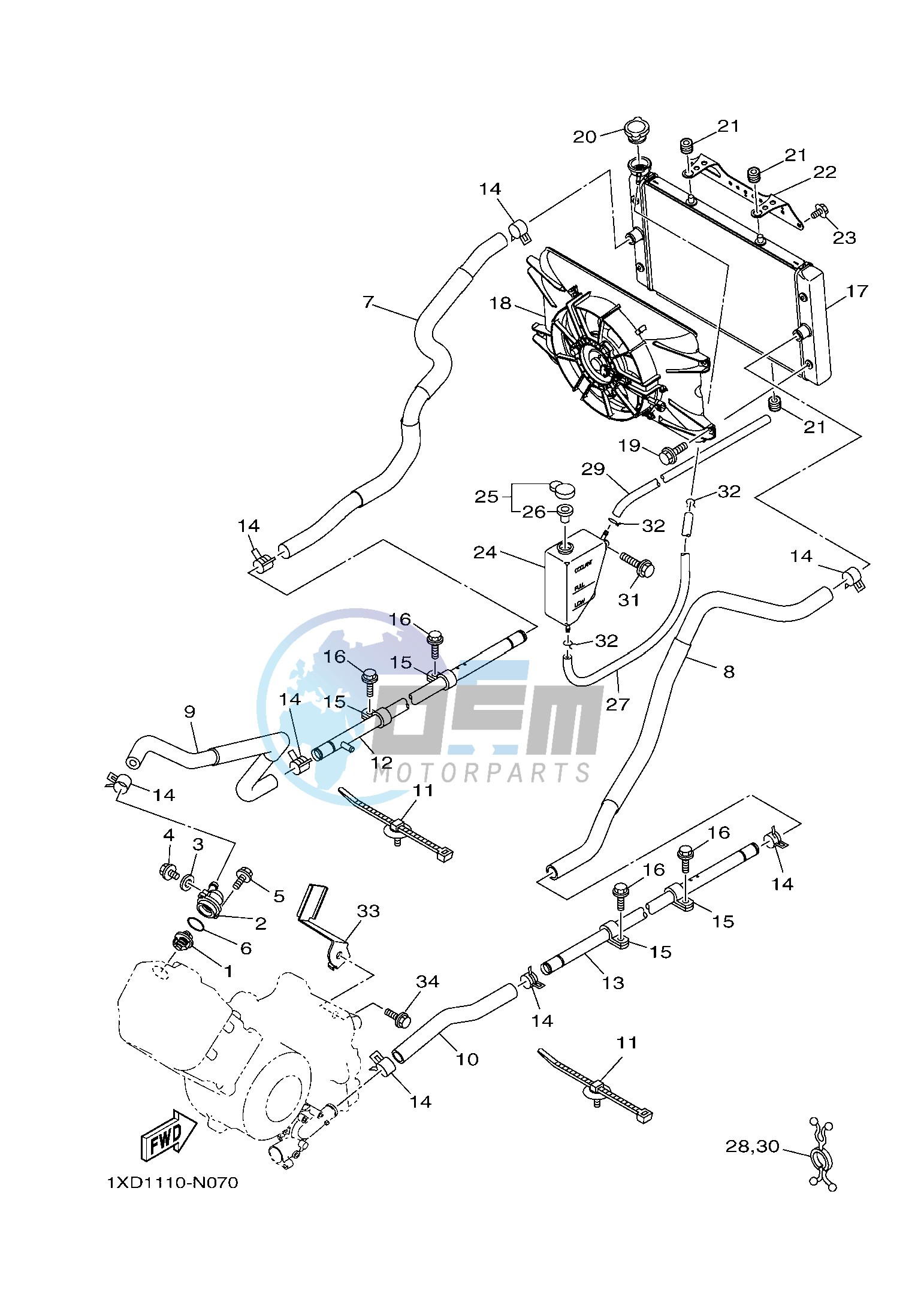 RADIATOR & HOSE