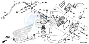 VFR1200FDF VFR1200F Dual Clutch E drawing WATER PUMP