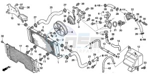 CB1300 CB1300SUPER FOUR drawing RADIATOR (CB1300A/SA)