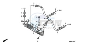 TRX250XA Europe Direct - (ED) drawing OIL COOLER