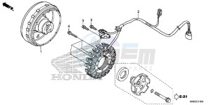 TRX500FE1H Europe Direct - (ED) drawing GENERATOR