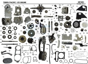 TOREO-PACIFIC-125-PACIFIC drawing ENGINE