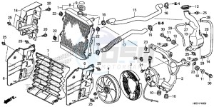 TRX420TM1H Europe Direct - (ED) drawing RADIATOR