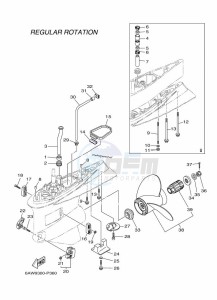 F350AETX drawing PROPELLER-HOUSING-AND-TRANSMISSION-2