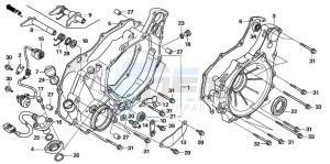 TRX500TM drawing REAR CRANKCASE COVER