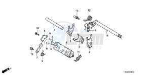 CRF100FB drawing GEARSHIFT DRUM