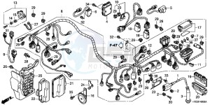 TRX500FPED TRX500FPE ED drawing WIRE HARNESS