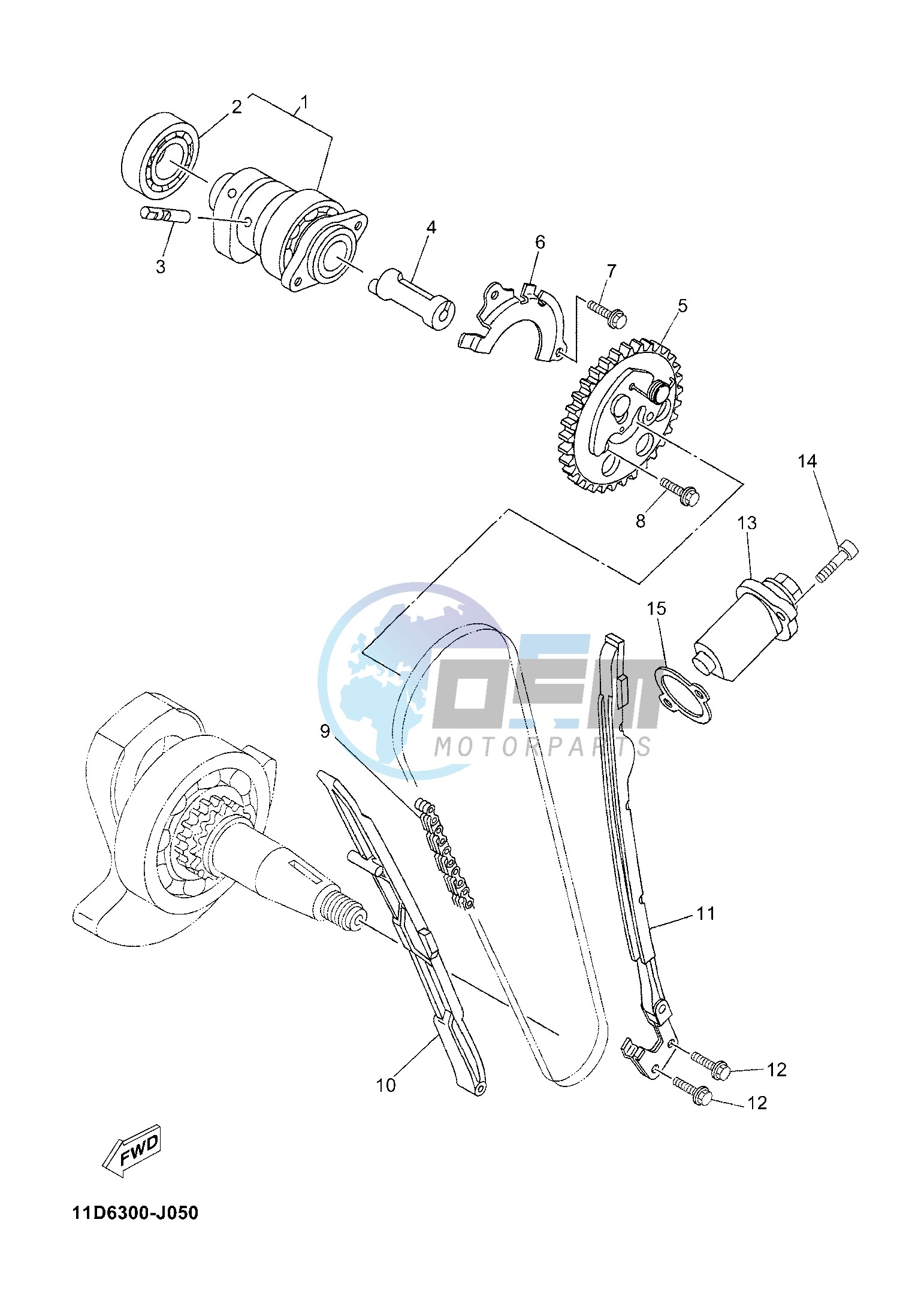 CAMSHAFT & CHAIN