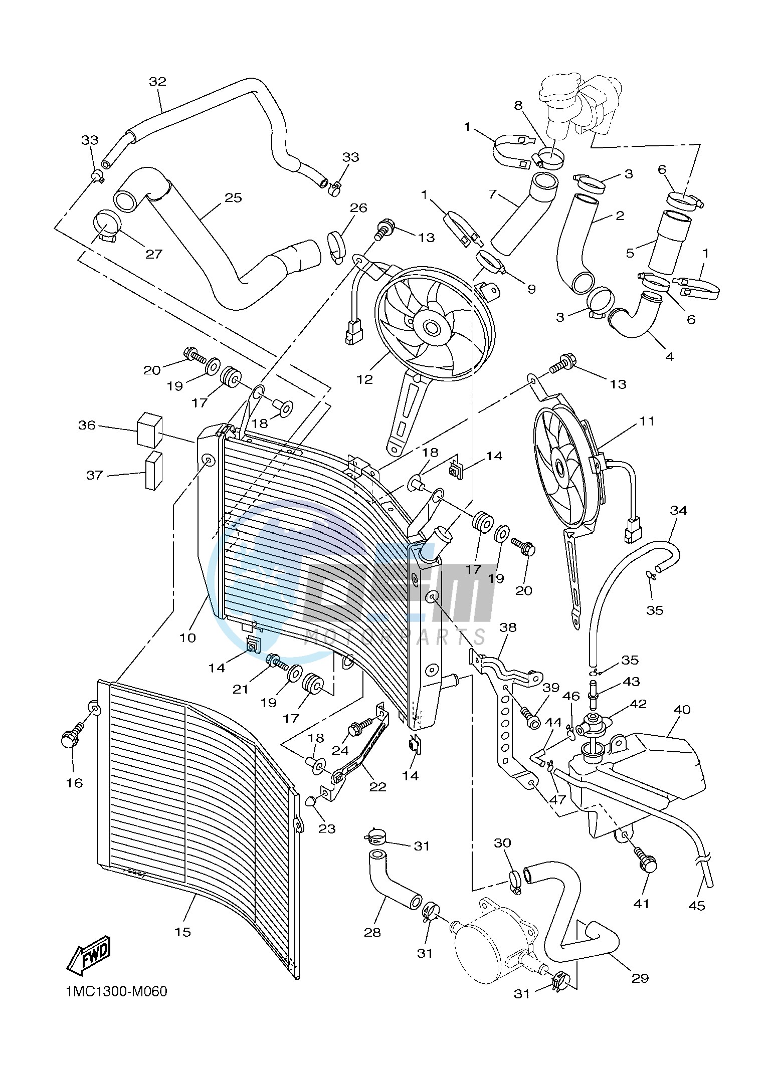 RADIATOR & HOSE