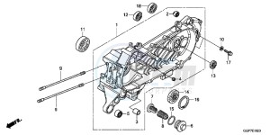 NSC50T2E NSC50T2E UK - (E) drawing LEFT CRANKCASE