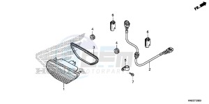 TRX500FPAE TRX500FPA Europe Direct - (ED) drawing TAILLIGHT