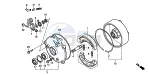 TRX250TM FOURTRAX RECON drawing REAR BRAKE DRUM