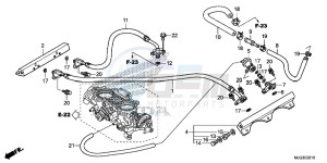 GL1800BF F6B Bagger - GL1800BF UK - (E) drawing THROTTLE BODY (TUBI NG)