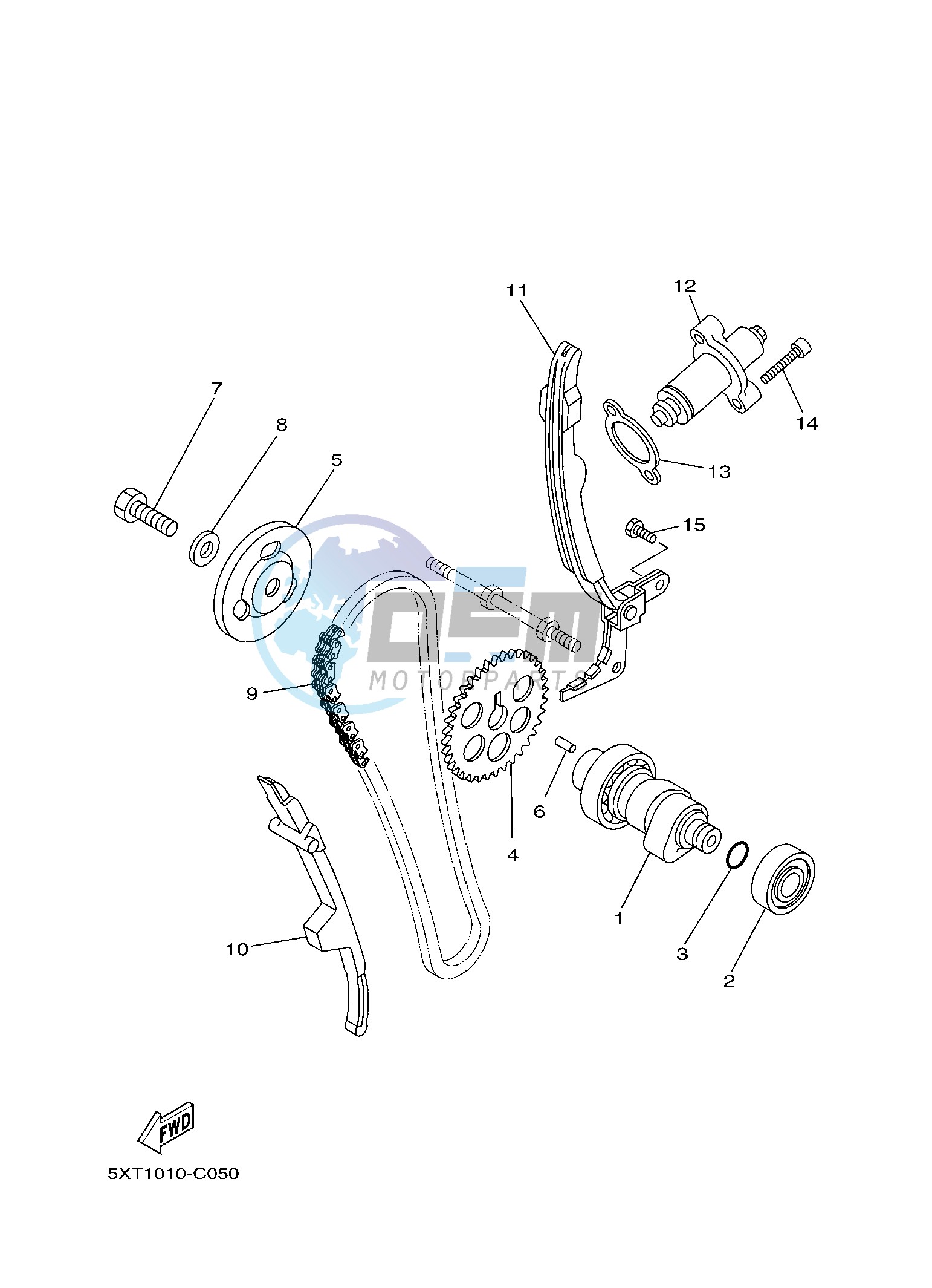 CAMSHAFT & CHAIN