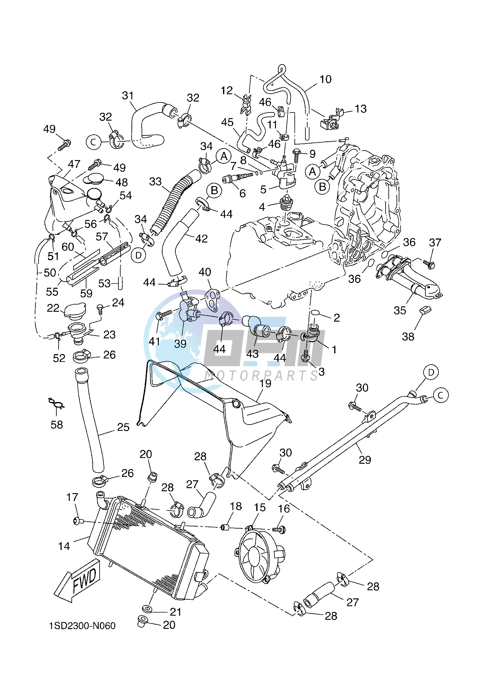 RADIATOR & HOSE