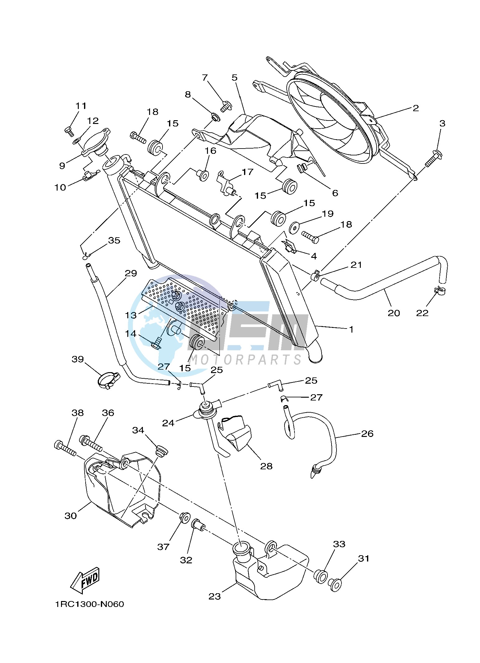 RADIATOR & HOSE