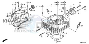 TRX250TEE FOURTRAX RECON ES Europe Direct - (ED) drawing CYLINDER HEAD