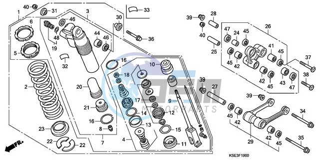 REAR CUSHION