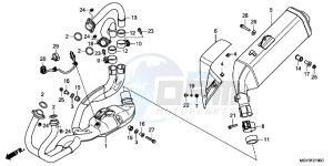 VFR800XC drawing EXHAUST MUFFLER