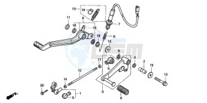 NTV650 drawing PEDAL