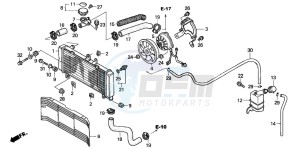 CBF600NA drawing RADIATOR (CBF600N/NA)