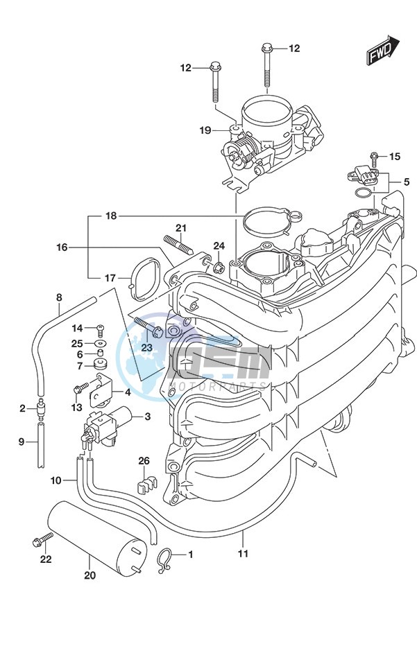 Intake Manifold/Throttle Body