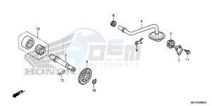 CRF450XE CRF450R Europe Direct - (ED) drawing OIL PUMP