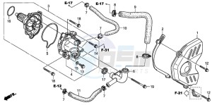 CBR600RR drawing WATER PUMP