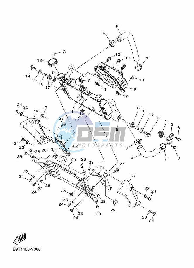 RADIATOR & HOSE