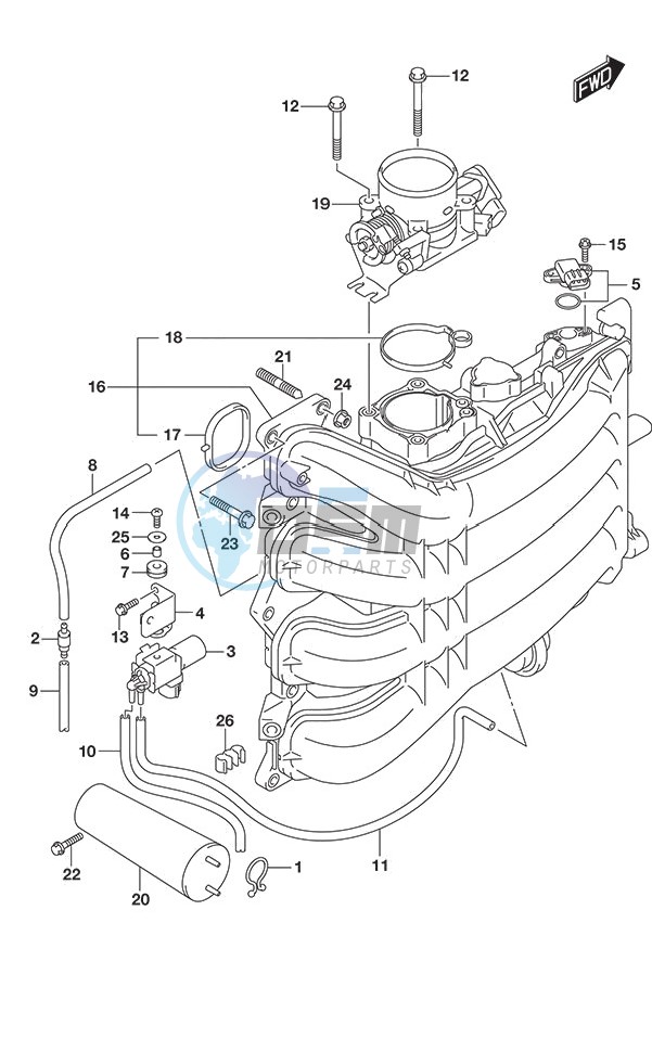 Intake Manifold/Throttle Body