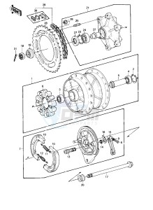 KE 175 D [KE175] (D2-D3) [KE175] drawing REAR HUB_BRAKE_CHAIN -- 80-81 KE175-D2_D3- -